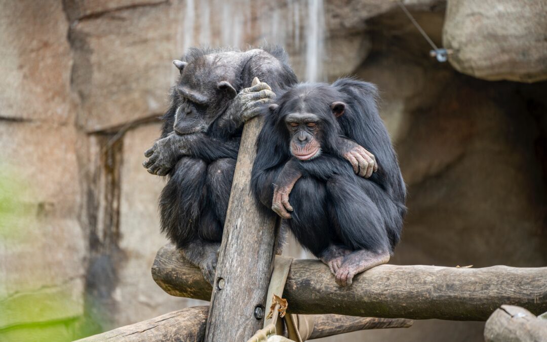 This list is so boring it’s rather interesting