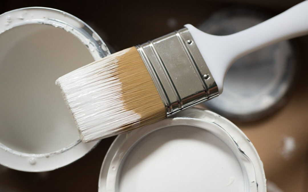 2021 Paint Trends: Why Magnolia is Out, and Dead Salmon is in!