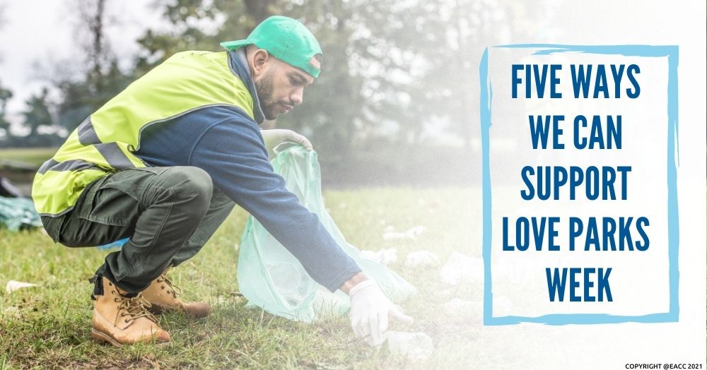 How You Can Celebrate and Protect Parks