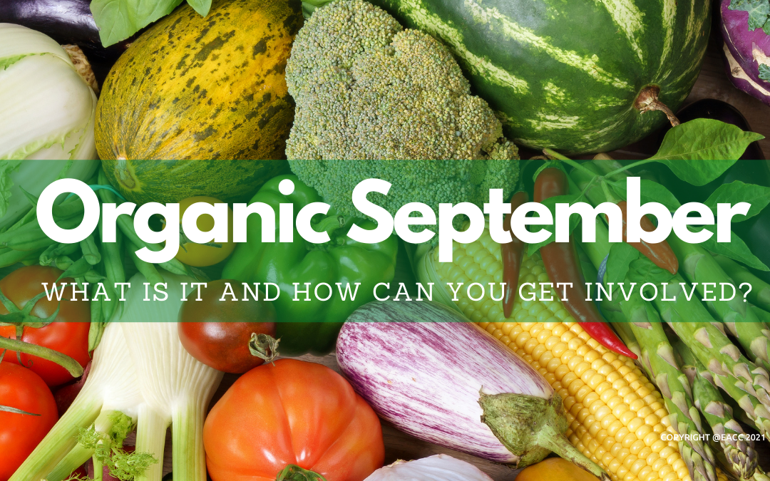 Organic September: What Is It and How Can You Get Involved?