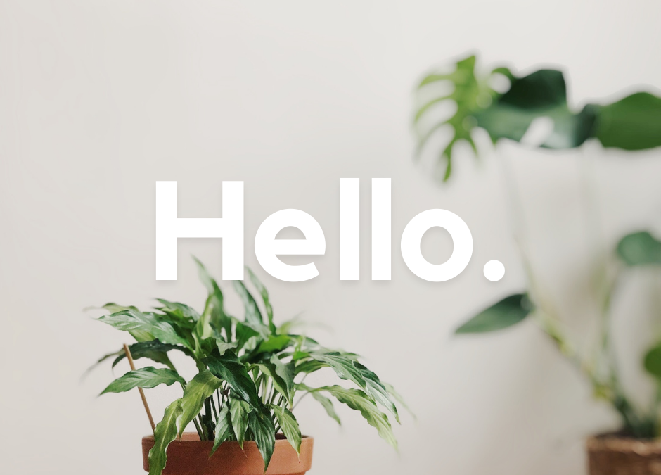 MORTGAGE ADVICE: Good News for ‘want-to-be’ Landlords